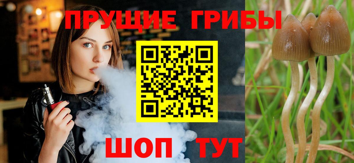 Псилоцибиновые грибы Magic Shrooms Краснознаменск