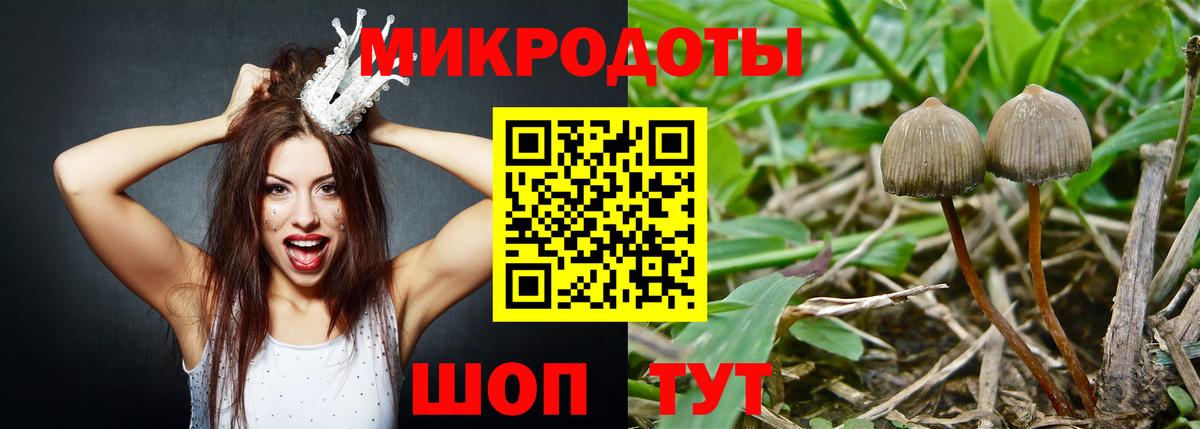 Псилоцибиновые грибы Psilocybe  продажа наркотиков  Краснознаменск  Вход с VPN 