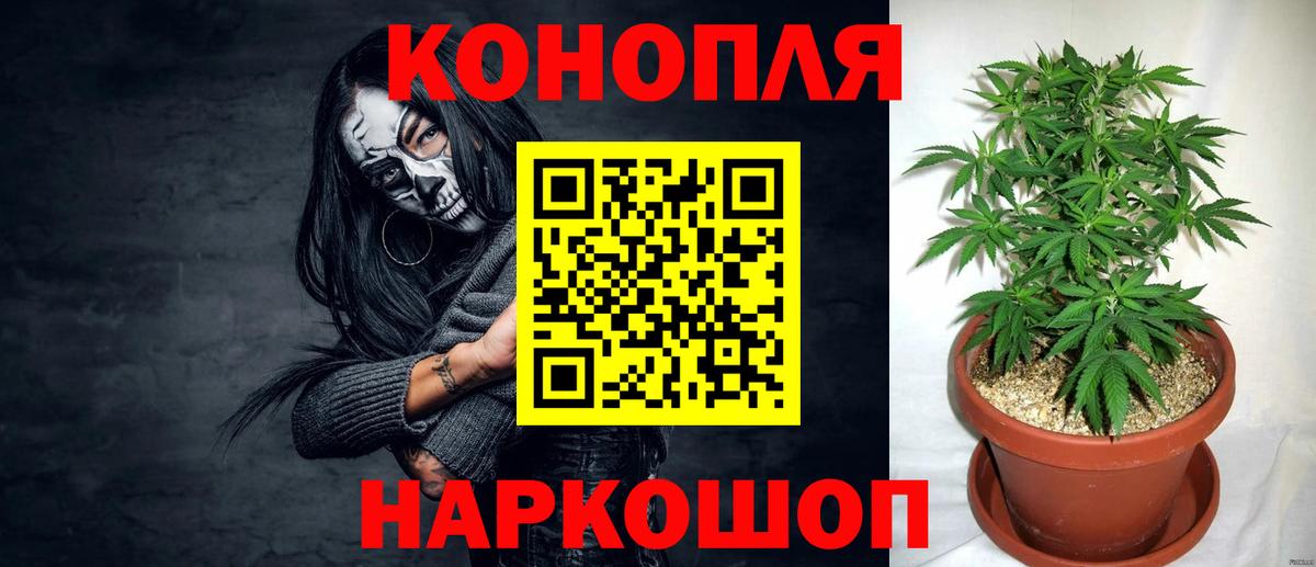 Марихуана индика Краснознаменск